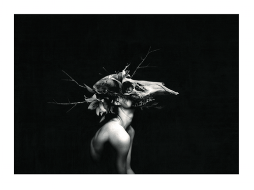 MCH_Artworks_ARTW000000173.png