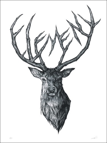 MCH_Artworks_ARTW000001114.jpg