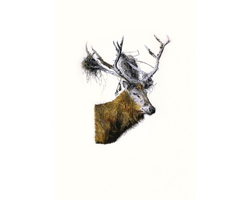 MCH_Artworks_ARTW000005775.jpg