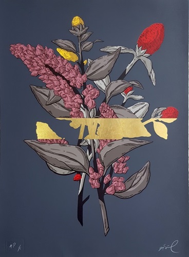 MCH_Artworks_ARTW000006869.jpg