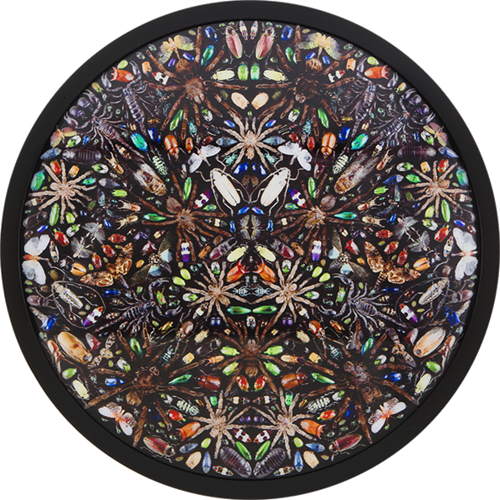 MCH_Artworks_ARTW000007331.png
