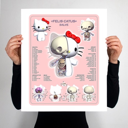 MCH_Artworks_ARTW000008096.jpg