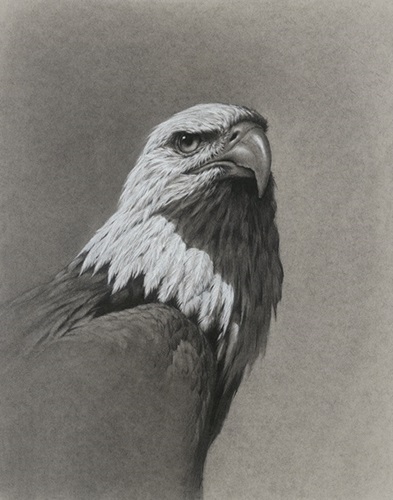 MCH_Artworks_ARTW000008847.jpg