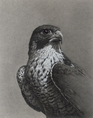MCH_Artworks_ARTW000009095.jpg