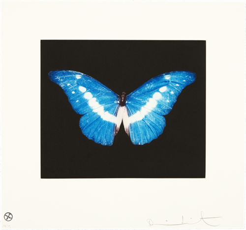 MCH_Artworks_ARTW000010807.png