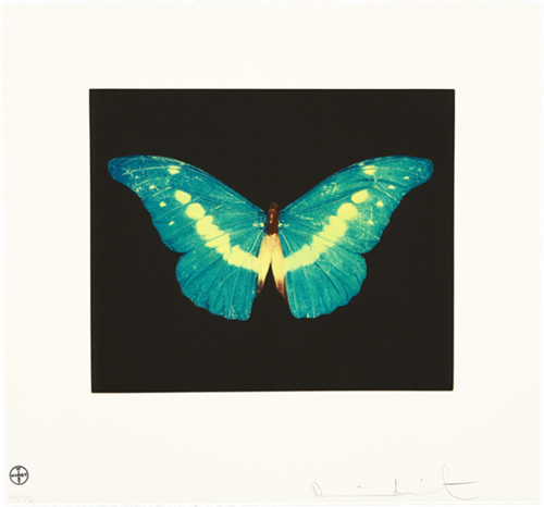 MCH_Artworks_ARTW000010924.png