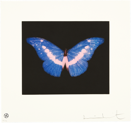 MCH_Artworks_ARTW000011043.png