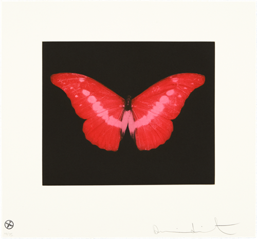 MCH_Artworks_ARTW000011167.png