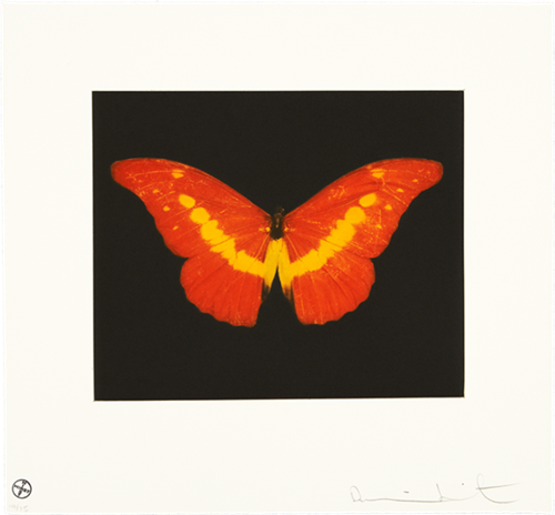 MCH_Artworks_ARTW000011284.png
