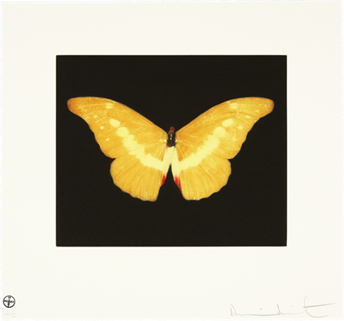 MCH_Artworks_ARTW000011407.png