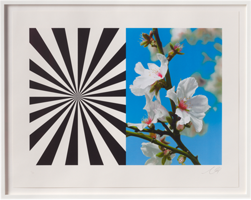 MCH_Artworks_ARTW000011648.png