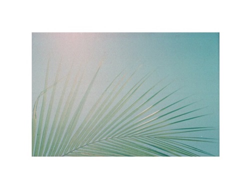 MCH_Artworks_ARTW000013494.jpg