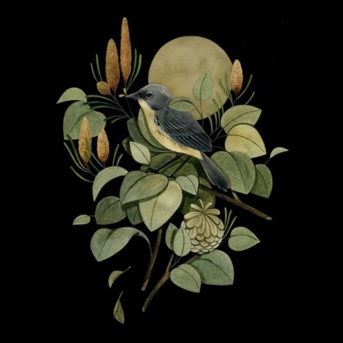 MCH_Artworks_ARTW000014013.jpg