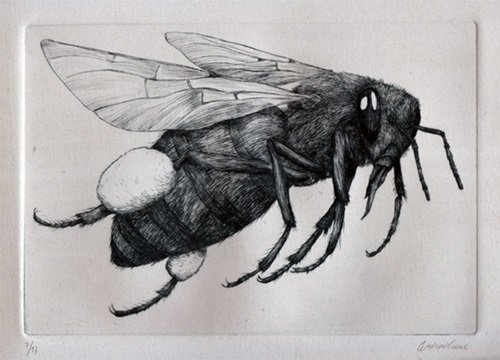 MCH_Artworks_ARTW000014726.jpg