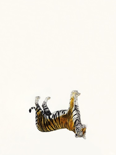 MCH_Artworks_ARTW000015201.jpg