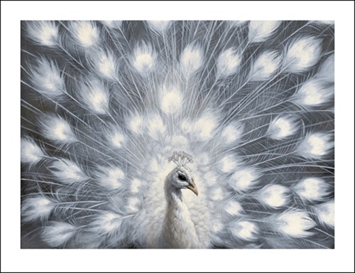 MCH_Artworks_ARTW000015769.jpg