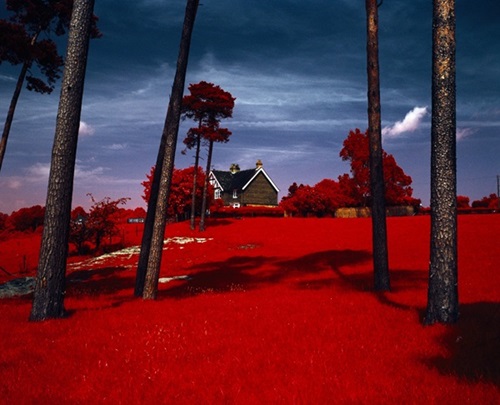 MCH_Artworks_ARTW000016538.jpg