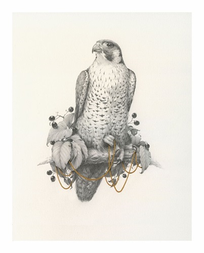 MCH_Artworks_ARTW000100451.jpg