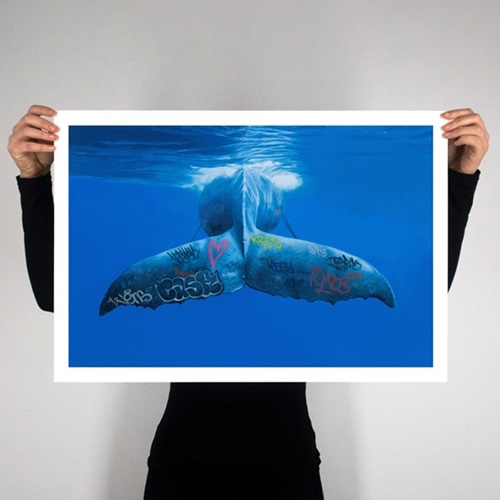 MCH_Artworks_ARTW000101312.jpg