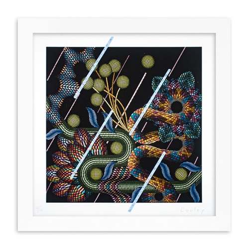 MCH_Artworks_ARTW000103976.jpg