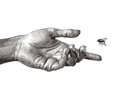MCH_Artworks_ARTW000104401.jpg