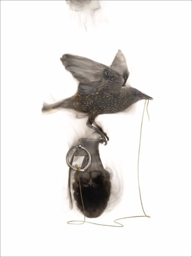 MCH_Artworks_ARTW000105247.jpg