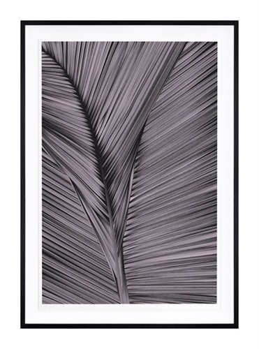 MCH_Artworks_ARTW000105543.jpg