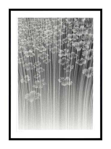 MCH_Artworks_ARTW000105659.jpg