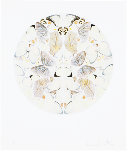 MCH_Artworks_ARTW000105690.png