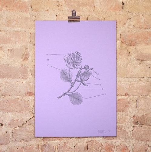 MCH_Artworks_ARTW000105729.jpg
