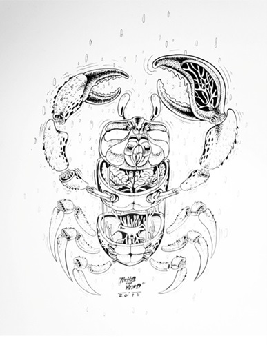MCH_Artworks_ARTW000105795.jpg