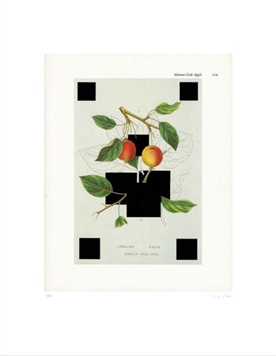 MCH_Artworks_ARTW000107712.jpg