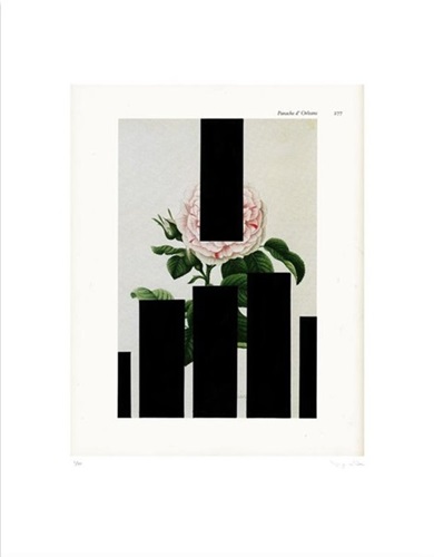 MCH_Artworks_ARTW000107830.jpg