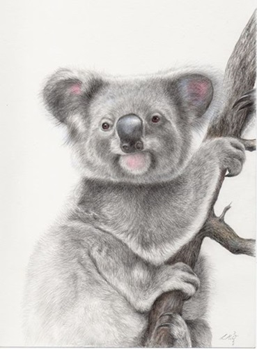 MCH_Artworks_ARTW000108221.jpg