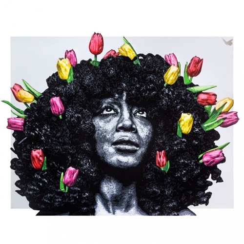 MCH_Artworks_ARTW000108334.jpg