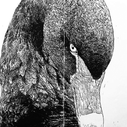 MCH_Artworks_ARTW000108394.jpg