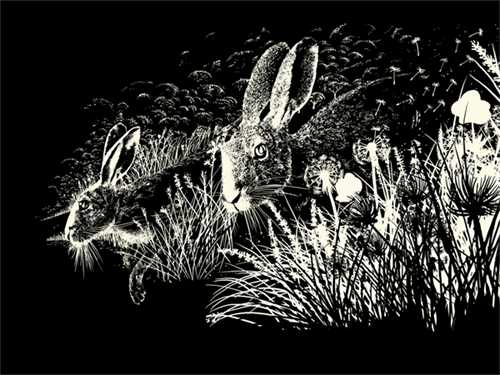 MCH_Artworks_ARTW000109409.png