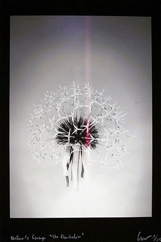 MCH_Artworks_ARTW000109887.jpeg