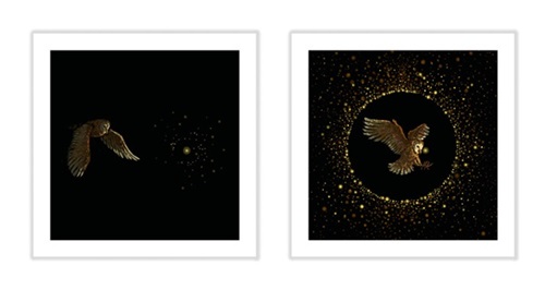MCH_Artworks_ARTW000110769.jpg