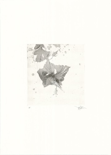 MCH_Artworks_ARTW000110855.jpg